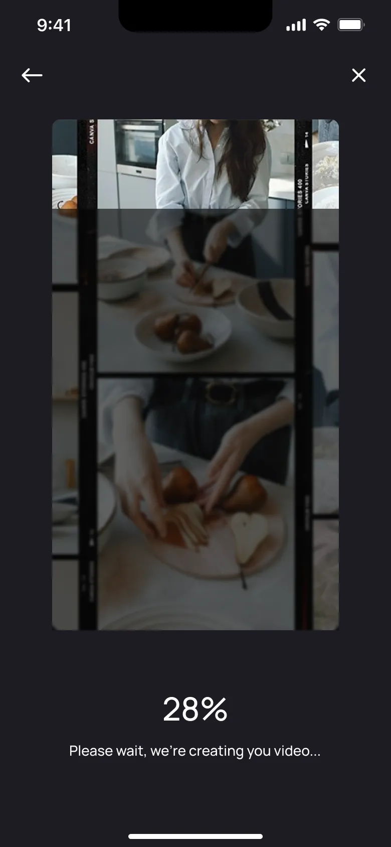 Animi export progress screen